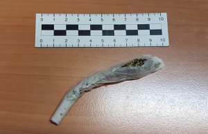 Zdjęcie przedstawia susz zawinięty w bibułę w kształcie papierosa