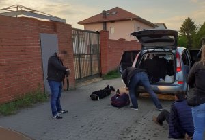 Na zdjęciach widać nieumundurowanych policjantów w trakcie zatrzymania dwóch mężczyzn poruszających się samochodem ford focus. Jeden z zatrzymanych mężczyzn siedzi w pobliżu auta którym kierował. Ma kajdanki założone na rękach z tyłu. Drugi leży na brzuchu i ma kajdanki założone na ręce z tyłu. Policjanci przeszukają ich samochód w poszukiwaniu dowodów na ich przestępcza działalność.