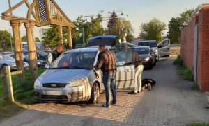 Na zdjęciach widać nieumundurowanych policjantów w trakcie zatrzymania dwóch mężczyzn poruszających się samochodem ford focus. Jeden z zatrzymanych mężczyzn siedzi w pobliżu auta którym kierował. Ma kajdanki założone na rękach z tyłu. Drugi leży na brzuchu i ma kajdanki założone na ręce z tyłu. Policjanci przeszukają ich samochód w poszukiwaniu dowodów na ich przestępcza działalność.