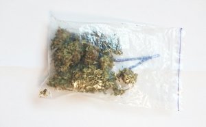 Zdjęcie przedstawia przeźroczysty foliowy woreczek z zapięciem strunowym wypełniony marihuaną.