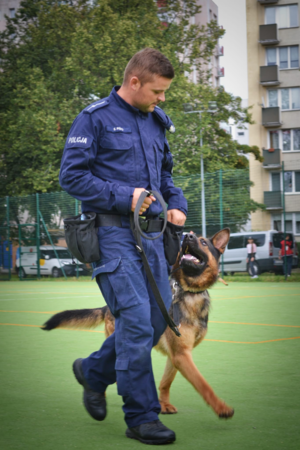 Policjant biega z psem