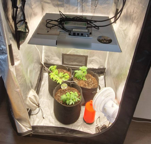 Narkotyki w mieszkaniu i … skrzynce na listy – policyjny dozór dla zatrzymanego