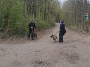 W trosce o bezpieczeństwo – policyjne działania w Lesie Kabackim