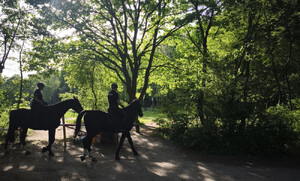 Leśne ścieżki pod nadzorem policjantów