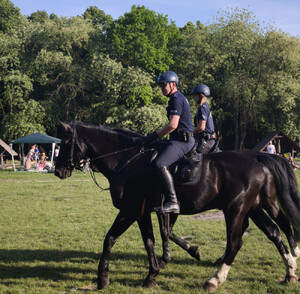 Leśne ścieżki pod nadzorem policjantów